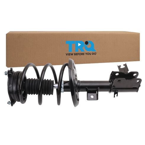 Strut & Spring Assembly