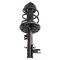 Strut & Spring Assembly