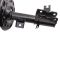 Strut & Spring Assembly