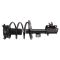 Strut & Spring Assembly