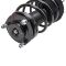 Strut & Spring Assembly