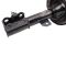 Strut & Spring Assembly