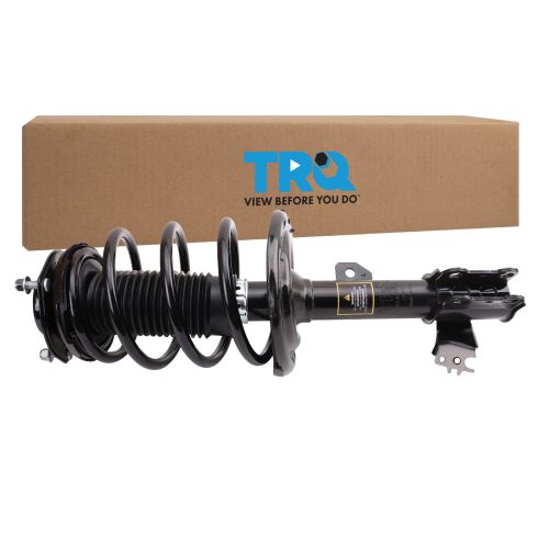 Strut & Spring Assembly