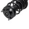 Strut & Spring Assembly