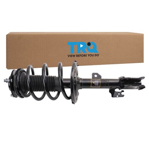 Strut & Spring Assembly