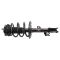 Strut & Spring Assembly