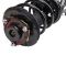 Strut & Spring Assembly