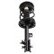 Strut & Spring Assembly