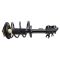 Strut & Spring Assembly