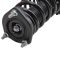 Strut & Spring Assembly