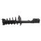 Strut & Spring Assembly