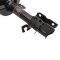 Strut & Spring Assembly