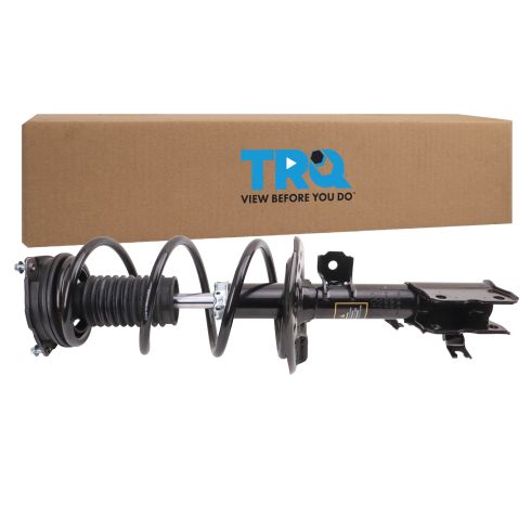 Strut & Spring Assembly
