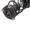 Strut & Spring Assembly