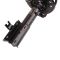 Strut & Spring Assembly
