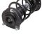 Strut & Spring Assembly