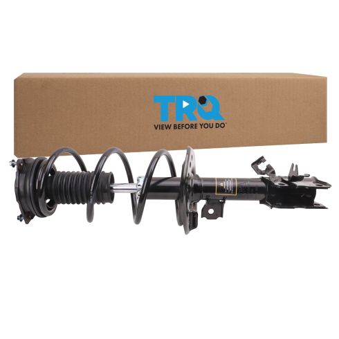 Strut & Spring Assembly