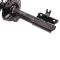 Strut & Spring Assembly