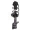 Strut & Spring Assembly