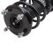 Strut & Spring Assembly