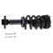 Shock & Spring Assembly