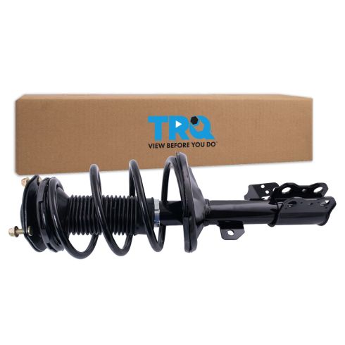 Strut & Spring Assembly