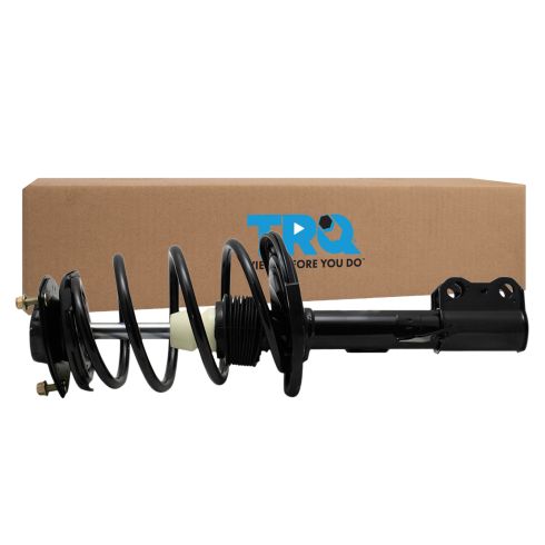 Strut & Spring Assembly