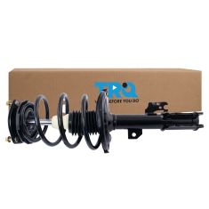 Strut & Spring Assembly