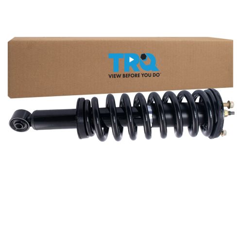 Strut & Spring Assembly