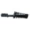 02-03 Toyota Camry, Lexus ES300 Rear Strut & Spring Assembly LR (8 Loop Update)