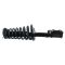 02-03 Toyota Camry, Lexus ES300 Rear Strut & Spring Assembly RR (8 Loop Update)