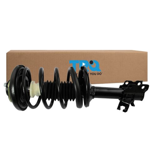 Strut & Spring Assembly