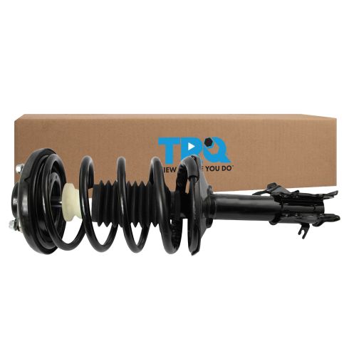 Strut & Spring Assembly