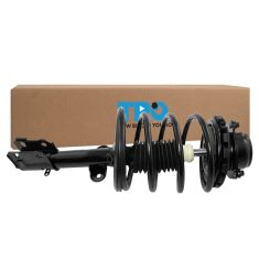 Strut & Spring Assembly