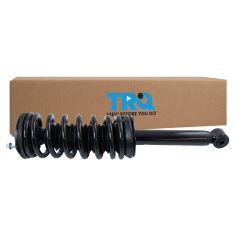 Strut & Spring Assembly