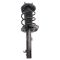 Strut & Spring Assembly