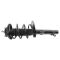 Strut & Spring Assembly
