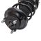 Strut & Spring Assembly