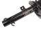 Strut & Spring Assembly