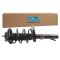 Strut & Spring Assembly