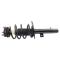 Strut & Spring Assembly