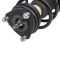 Strut & Spring Assembly