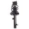 Strut & Spring Assembly