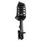 Strut & Spring Assembly