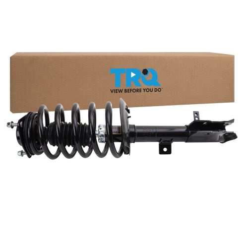 Strut & Spring Assembly