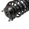 Strut & Spring Assembly