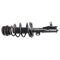 Strut & Spring Assembly