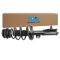 Strut & Spring Assembly