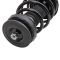 Strut & Spring Assembly