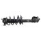 Strut & Spring Assembly